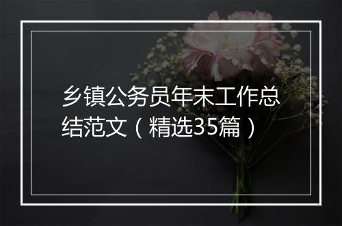 乡镇公务员年末工作总结范文（精选35篇）