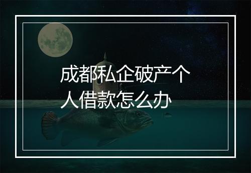 成都私企破产个人借款怎么办