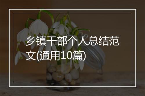 乡镇干部个人总结范文(通用10篇)