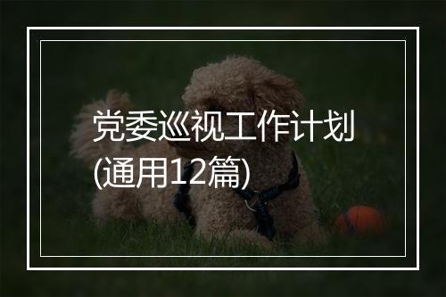 党委巡视工作计划(通用12篇)