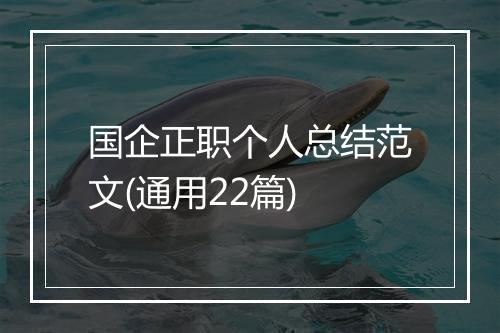 国企正职个人总结范文(通用22篇)