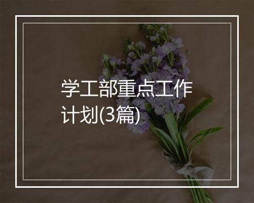 学工部重点工作计划(3篇)