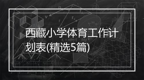 西藏小学体育工作计划表(精选5篇)