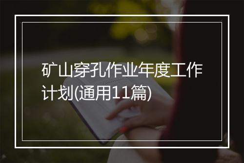 矿山穿孔作业年度工作计划(通用11篇)