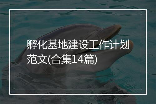 孵化基地建设工作计划范文(合集14篇)