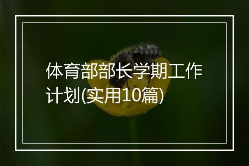体育部部长学期工作计划(实用10篇)