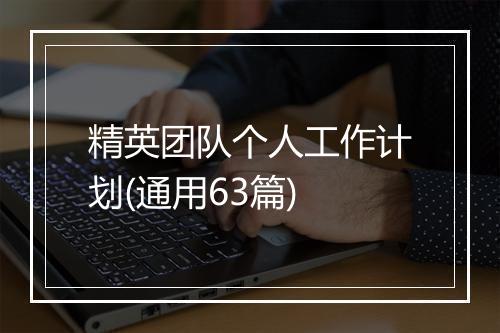 精英团队个人工作计划(通用63篇)