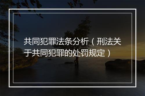 共同犯罪法条分析（刑法关于共同犯罪的处罚规定）