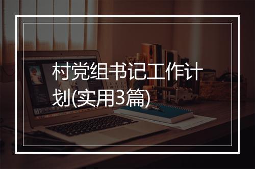 村党组书记工作计划(实用3篇)