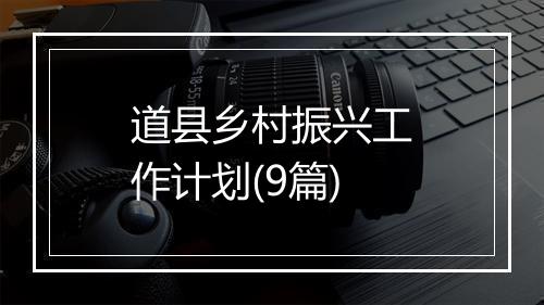 道县乡村振兴工作计划(9篇)