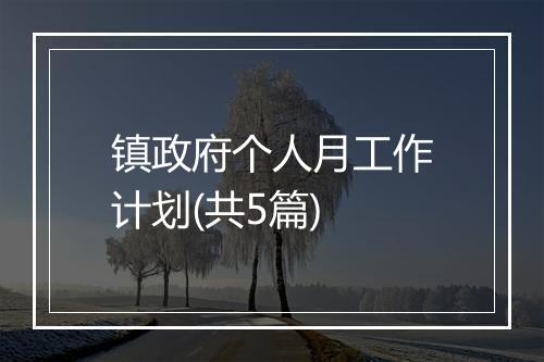 镇政府个人月工作计划(共5篇)