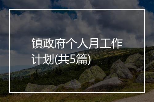 镇政府个人月工作计划(共5篇)
