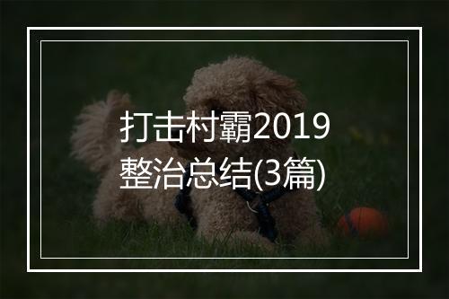 打击村霸2019整治总结(3篇)
