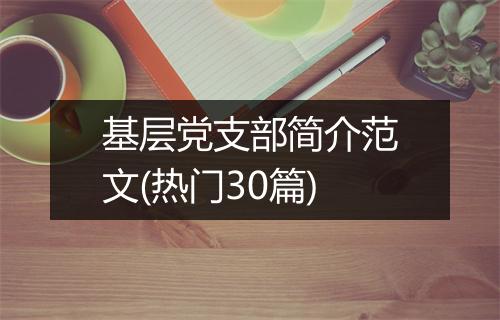 基层党支部简介范文(热门30篇)