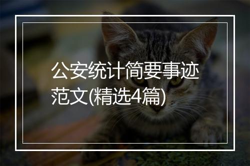 公安统计简要事迹范文(精选4篇)