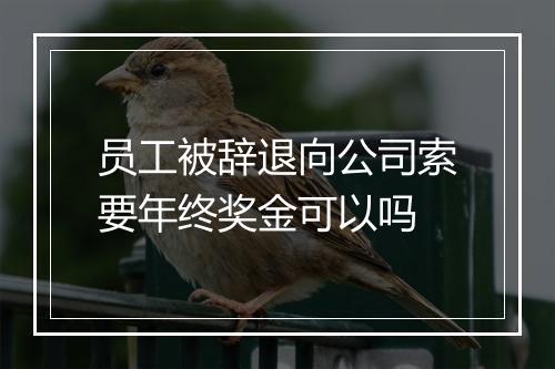 员工被辞退向公司索要年终奖金可以吗