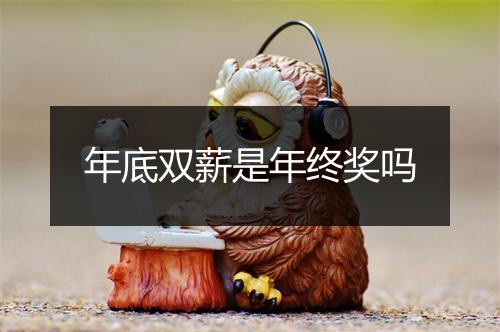年底双薪是年终奖吗