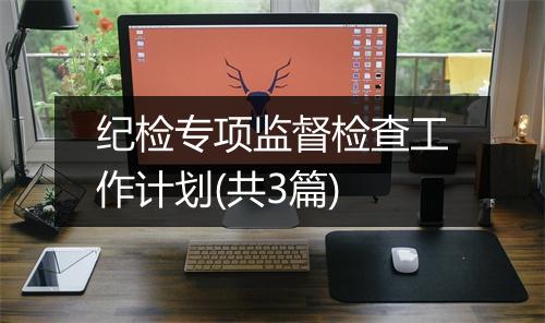 纪检专项监督检查工作计划(共3篇)