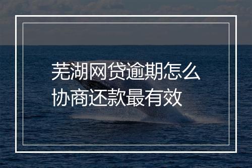 芜湖网贷逾期怎么协商还款最有效