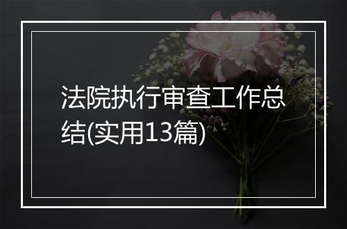 法院执行审查工作总结(实用13篇)