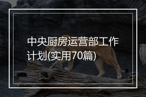 中央厨房运营部工作计划(实用70篇)