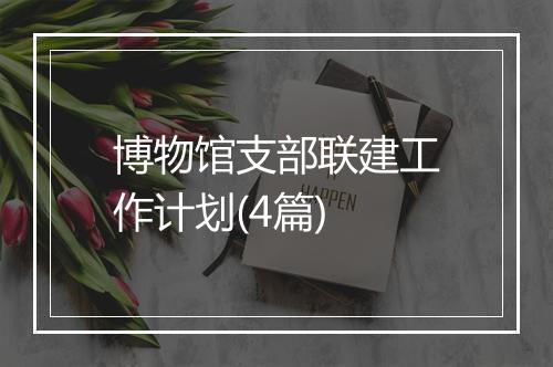 博物馆支部联建工作计划(4篇)