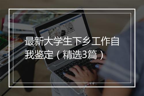 最新大学生下乡工作自我鉴定（精选3篇）