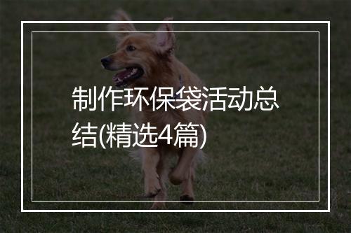 制作环保袋活动总结(精选4篇)