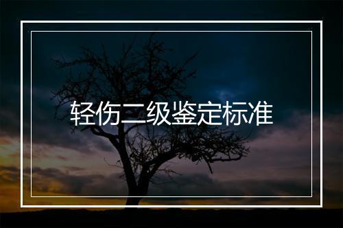 轻伤二级鉴定标准