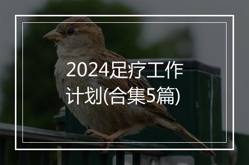 2024足疗工作计划(合集5篇)
