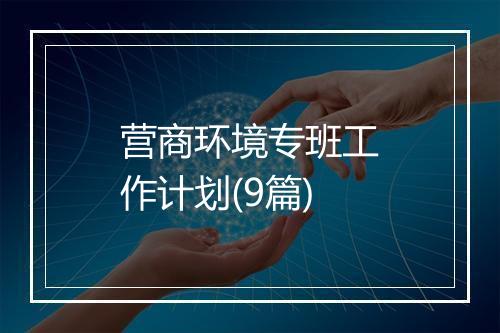 营商环境专班工作计划(9篇)