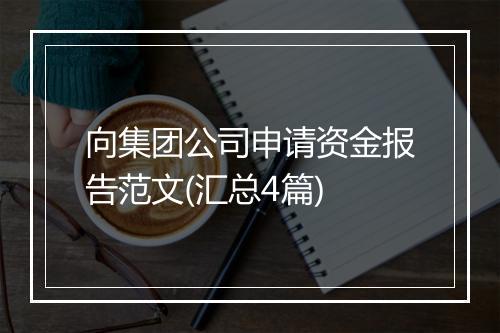 向集团公司申请资金报告范文(汇总4篇)