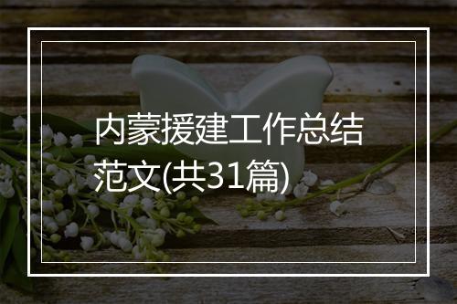 内蒙援建工作总结范文(共31篇)