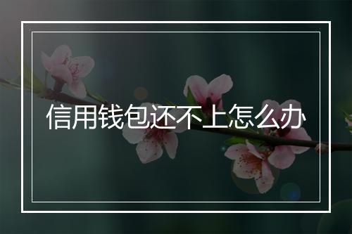 信用钱包还不上怎么办