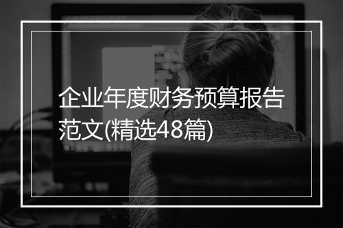 企业年度财务预算报告范文(精选48篇)