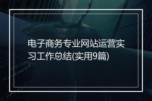 电子商务专业网站运营实习工作总结(实用9篇)