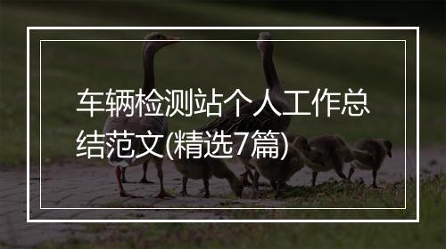 车辆检测站个人工作总结范文(精选7篇)