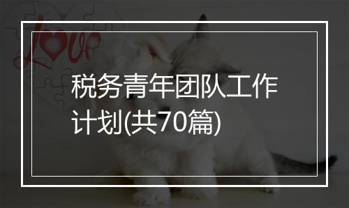 税务青年团队工作计划(共70篇)