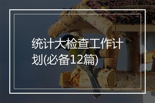 统计大检查工作计划(必备12篇)