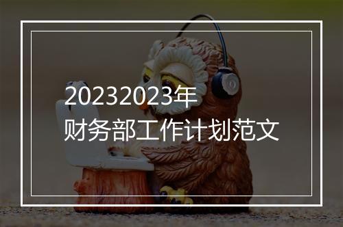20232023年财务部工作计划范文