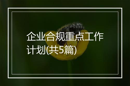 企业合规重点工作计划(共5篇)