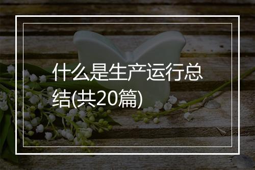 什么是生产运行总结(共20篇)