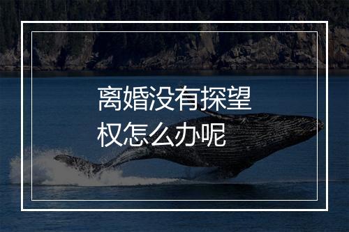 离婚没有探望权怎么办呢