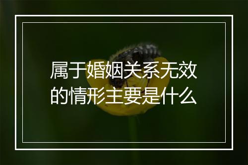 属于婚姻关系无效的情形主要是什么