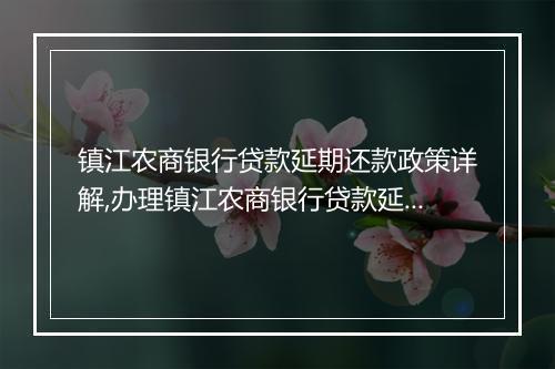 镇江农商银行贷款延期还款政策详解,办理镇江农商银行贷款延期还款流程