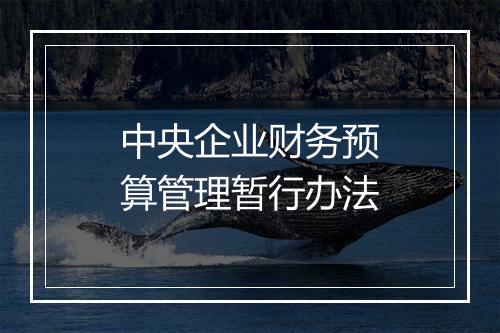 中央企业财务预算管理暂行办法