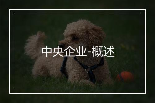 中央企业-概述