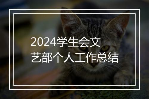 2024学生会文艺部个人工作总结