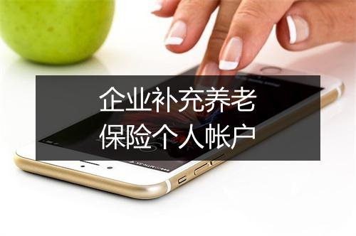 企业补充养老保险个人帐户