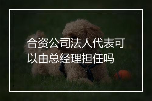 合资公司法人代表可以由总经理担任吗
